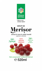 Cranberry Syrup 520ML - Img 2