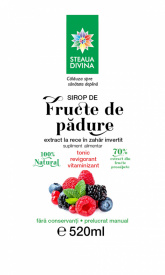 Forest Fruits Syrup 520ML - Img 2