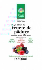 SIROP DIN FRUCTE DE PADURE 520ML - Img 2