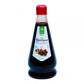 SIROP DE MERISOR 520ML