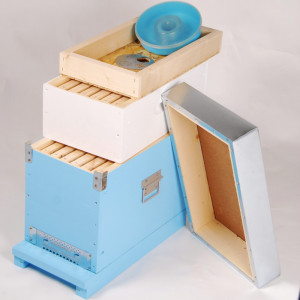 Oferta-stup 6 rame-magazie-rame-hranitor