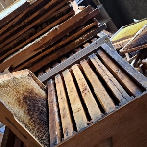 Magazie 3/4 plus 10 faguri claditi 3/4 - Img 2