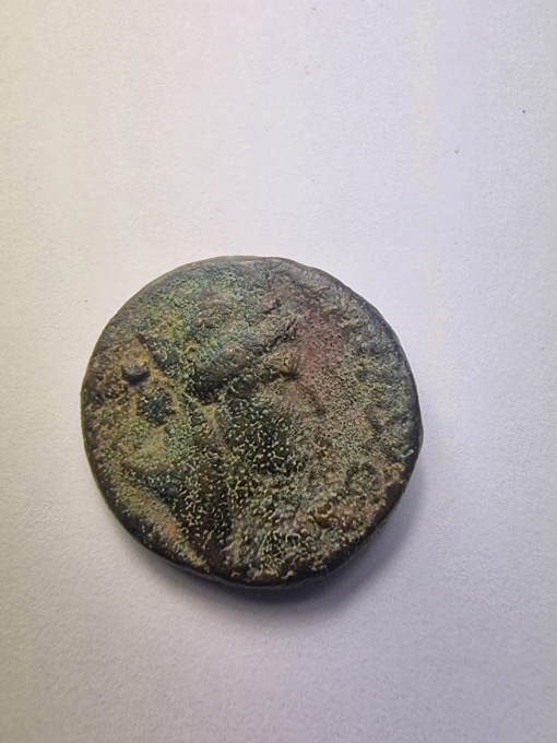 Moneda Provinciala , SELEUKEIA PIERIA , 67-69 , RARA