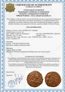 TETRICUS II - CAESAR (272-274 AD ) - TRIER - Moneda Antica IMPERIUL GALLIC - Img 3