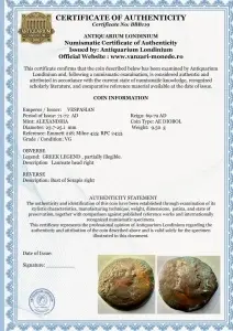 - RARA - VESPASIAN ( 71-72 AD ) - ALEXANDRIA -Moneda Antica Romana - Img 3