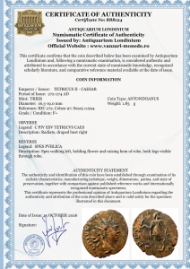 TETRICUS II - CAESAR ( 272-274 AD ) -TRIER - MONEDA ANTICA - IMPERIUL GALLIC - Img 3