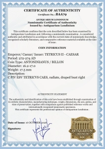 TETRICUS II - CAESAR (272-274 AD ) - IMPERIUL GALLIC - Moneda Antica - Img 3