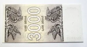 Bancnota 3000 Lari 1993 - Georgia - Img 2