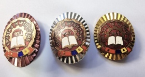 Set complet - Insigne „Fruntaș în întrecere” – 1981 - RSR