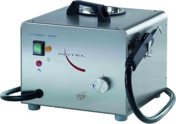 STEAMER PROFESIONAL CURATARE CU ABURI MINI
