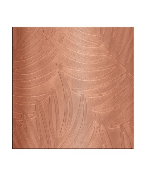 PLACA MODELARE BRATARA - FERNS - Img 2