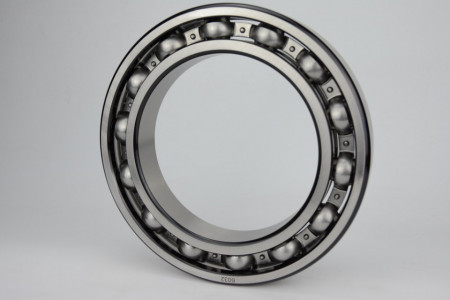 Rulment 6021