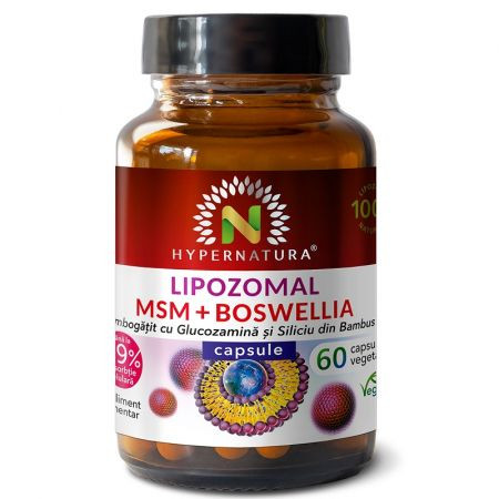 Lipozomal MSM + Boswellia 60 capsule Hypernatura