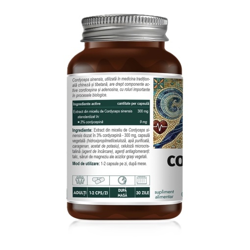 Cordyceps 60 capsule vegetale Hyllan Pharma