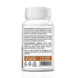 Supliment alimentar natural Lion's Mane 60 capsule Zenyth - Img 3
