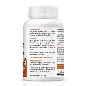 Cordyceps CS-4 500 mg 60 capsule Zenyth - Img 2