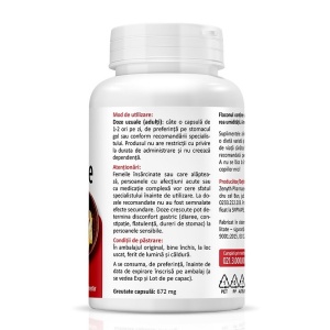 Pachet Berberina 500 mg 60 capsule + Otet din cidru de mere 60 capsule Zenyth