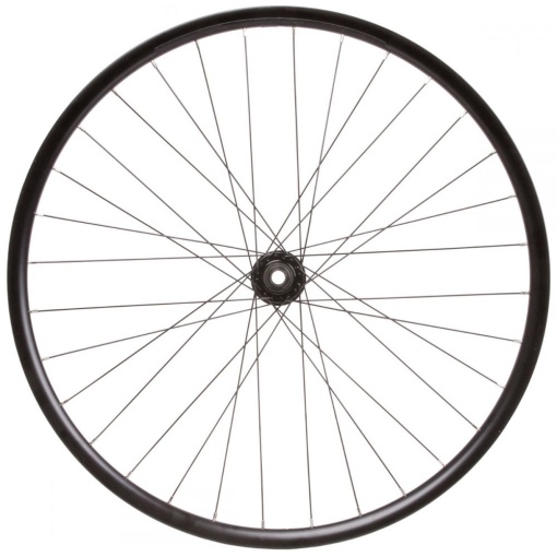 Roata Spate 29(622x21) SXT - 28H 12x141 MicroSpline - QR