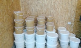 Raw Natural pure Tilia (linden) Honey in pails of 10 litters (13.5 kg)