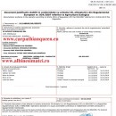 Mated Carpathian Bee Queens delivery everywhere in EU for sale