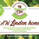 Tilia Honey suggested way of consumption for fewer cases package with 27 kg total delivered in France, italy Spain