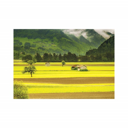 Foto tapet Green and yellow fields - Img 2
