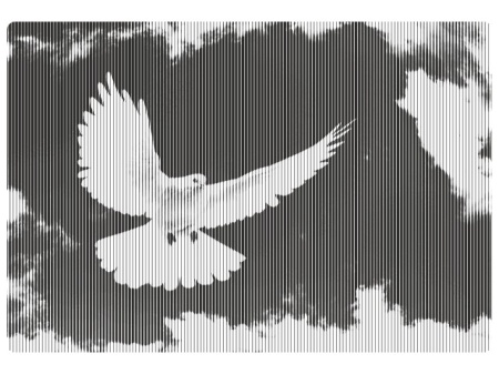 Sticker De Perete Porumbelul Pacii - Img 5