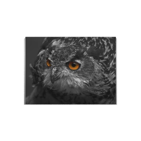 Tablou Canvas Black Owl - Img 2