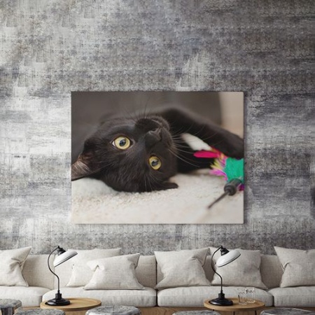 Tablou Canvas Cuteness - Img 4