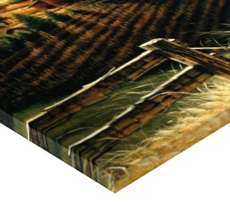 Tablou Canvas Efect Pictura - La Tara - Img 4