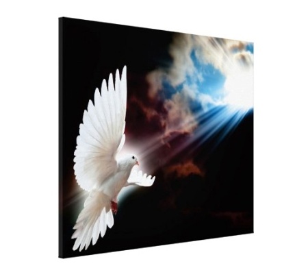 Tablou Canvas Efect Pictura - Porumbel - Img 3