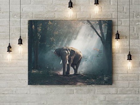 Tablou Canvas Elefant Ratacit - Img 3