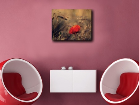 Tablou Canvas - Floare De Mac In Lan de Grau - Img 5