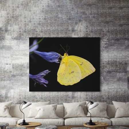 Tablou Canvas Fluture Galben - Img 4