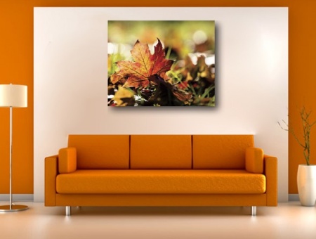 Tablou Canvas - Frunza Stejar - Img 2