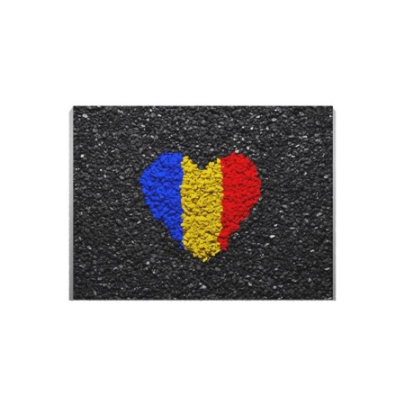 Tablou Canvas Inima Tricolora - Img 2