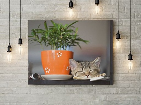Tablou Canvas Liniste - Img 3