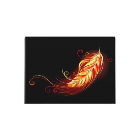 Tablou Canvas Magic Feather - Img 2
