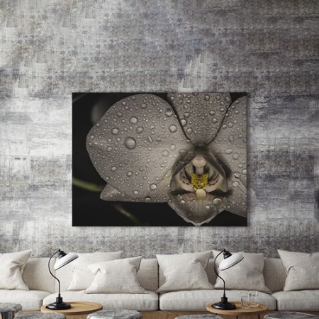 Tablou Canvas Orhidee Neagra - Img 3