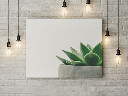 Tablou Canvas Planta Decorativa - Img 2