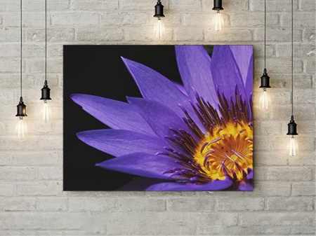 Tablou Canvas Purple Flower - Img 2