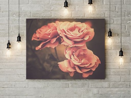 Tablou Canvas Trandafiri Crem - Img 2