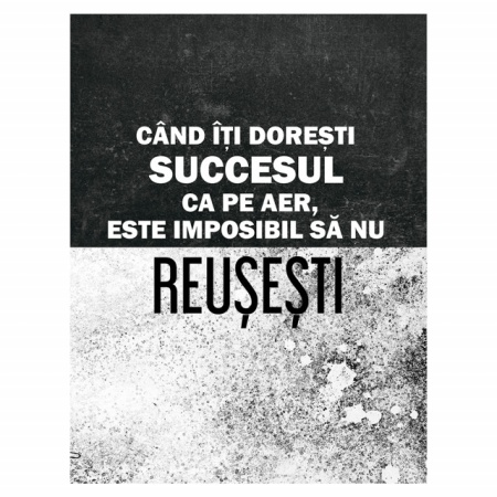 Tablou Motivational - Cand Iti Doresti Succesul Ca Pe Aer - Img 4