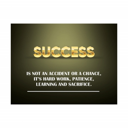Tablou Motivational - Definition of success - Img 2