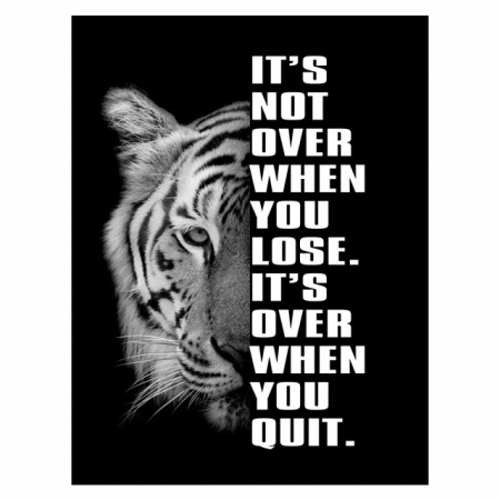 Tablou Motivational - It's Not Over When You Lose - Img 4
