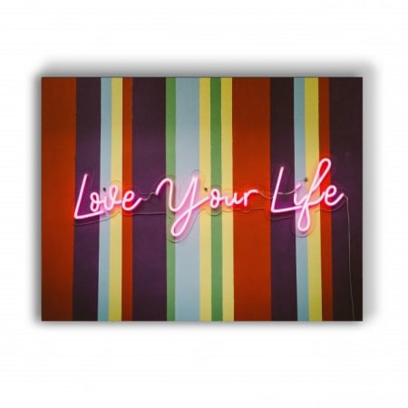 Tablou Motivational - Love Your Life - Img 4