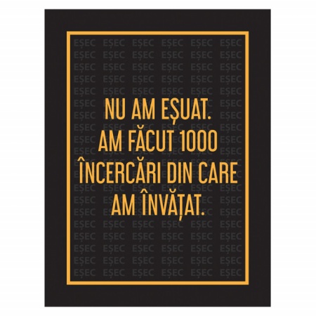 Tablou Motivational - Nu Am Esuat - Img 4
