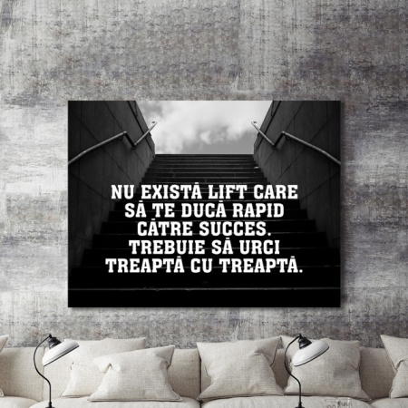 Tablou Motivational - Nu Exista Lift Spre Succes - Img 2