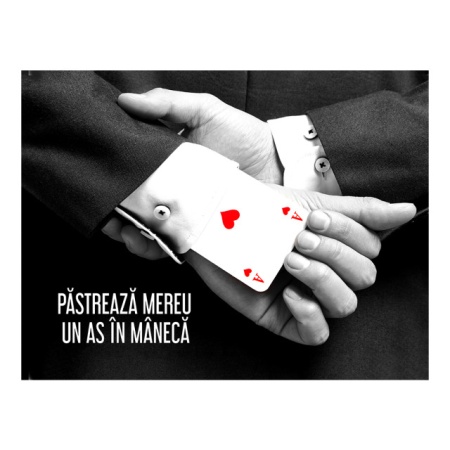 Tablou Motivational - Pastreaza Un As In Maneca - Img 4