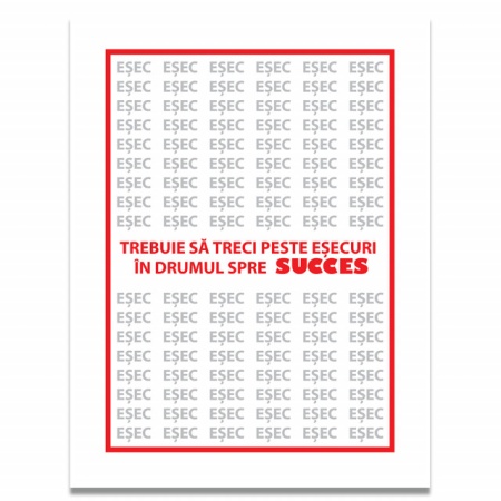 Tablou Motivational - Sa Treci Peste Esecuri - Img 4